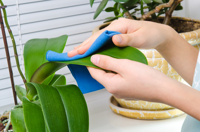 Clean like lightning: Tips for a fast and efficient 30 minute tidy-up 