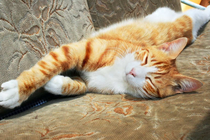 Strategies for Reducing Humidity in Your Home